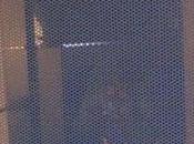 Why, Why?: Burns Brand PlayStation Microwave