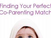 Finding Your Perfect Co-parenting Match