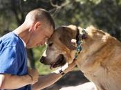 Man, Dog, Wars They’ve Fought World Apart