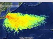 Fukushima Fallout Damaged Thyroid Glands California Babies