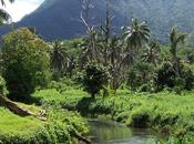 Funds Hydropower Projects Samoa