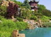 Healthy Days Montreal