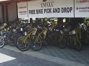 Practical Tips Traveling Vegetarian Fitness Enthusiast