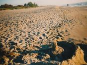 Creation Grace: Build Your House Rock