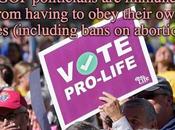 Abortion Bans Meant Republicans Satire)