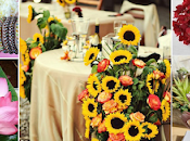 Flowers Every Occasion