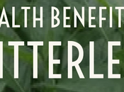 Health Benefits Bitter Leaf