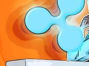 Ripple Announces Most Recent Creator Fund Recipients