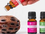 Essential Oils Everyone Should Stock