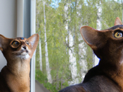 Generative A.I. More Sociopathic Than FaceBook Twitter?