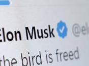 Facebook Offers Elon Musk Twitter Discussion Moderation