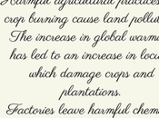 Download Land Pollution Essay
