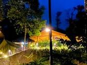 Cabin Creek, Immersed Nature