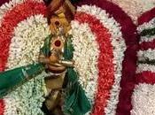 Celebrating King Raja Chozha