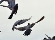 Life Race About Outsmarting Others