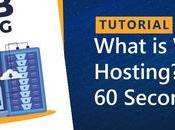 Dedicated Shared Hosting? What Does Your Business Need