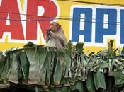 Weather Predictions What Monk Thinks