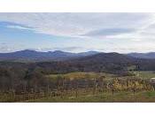 Enjoy Beer, Wine, Scenic Views from Hazy Mountain Vineyards Brewery