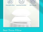 Best Throw Pillow Inserts Your Home