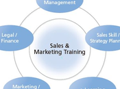 Reasons Sales Certification Will Benefit