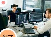 ASP.NET Development Company