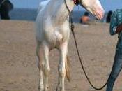 Life's Whatever Happens, Happens என்னதான் நடக்கும் நடக்கட்டுமே