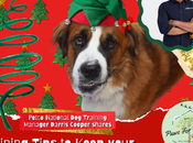 Petco Holiday Gift Guide: Trainer Darris Cooper Shares Safety Tips Best Products