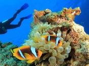 Worlds Best Places Scuba Diving