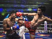 Highest-Paid Wrestlers 2022