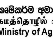 Talks Obtain State Bank Loans Paddy Purchases from Local Farmers