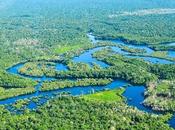 Lesser Known Facts About Amazon