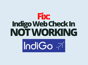 Fix: Indigo Check Working