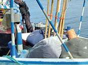 Navy, PNB, Operation Nets Over Heroin,