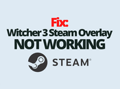 Fix: Witcher Steam Overlay Working
