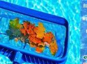 First Winter Florida? Answer Your Pool Maintenance Questions!
