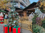 Five Christmas Markets Visit Switzerland