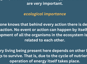 Download Essay Biodiversity 1500 Words