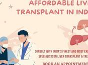 Jump Back Into Life With Affordable Liver Transplant India