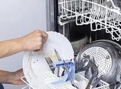 Should Avoid Rinsing Dishes Before Putting Them Dishwasher?