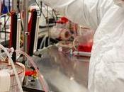 Making Livers Humanlike Quest Ease Organ Shortage