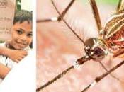 Friday, Saturday Declared Special Dengue Control Days