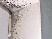 Eliminate Condensation Windows Humidity House