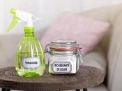 Clean Oven with Baking Soda White Vinegar