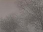 Looking East--Morning Evening