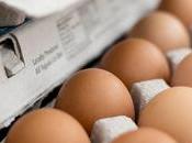 Cabinet Approves Import Eggs
