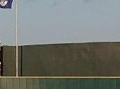 This Baseball: Batter’s Born