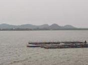 Cage Fishing Floating Pisciculture Chingleput