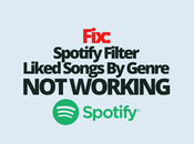 Fix: Spotify Filter Liked Songs Genre Working