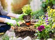 Simple Ways Prepare Your Yard Spring