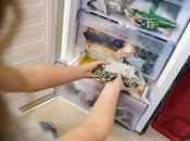 What Temperature Should Refrigerator Summer Winter Save Money?